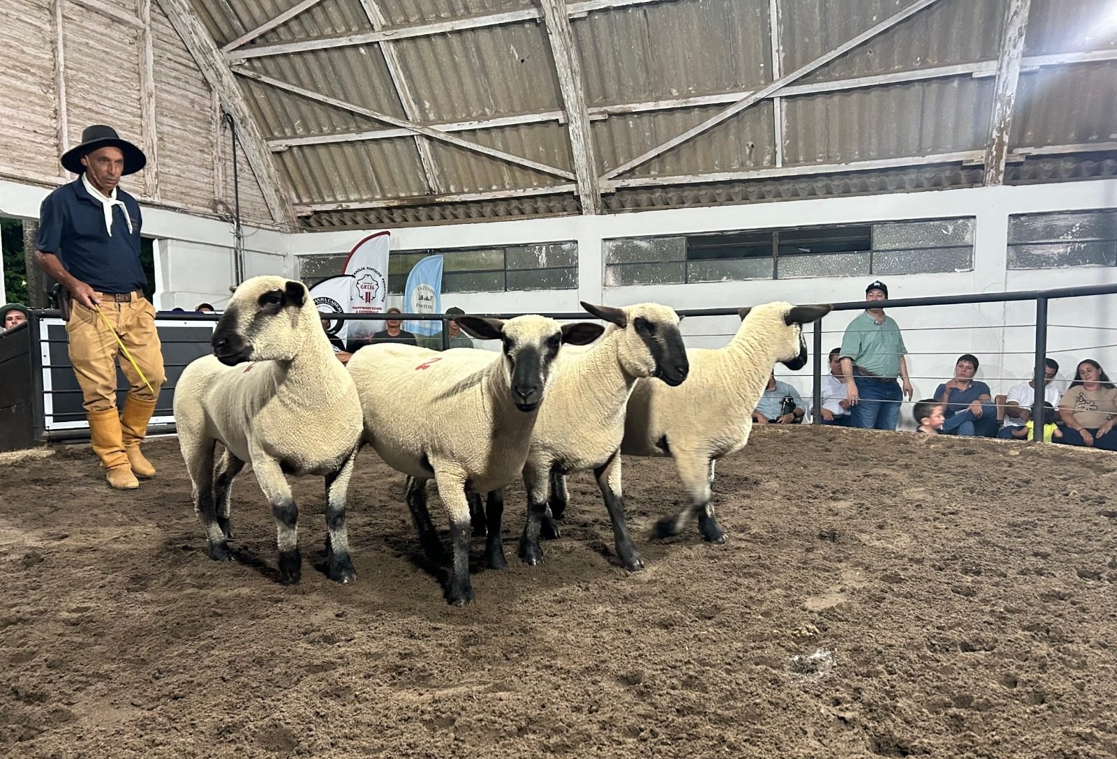 Agrovino fecha 18ª edição com R$ 1,416 milhão movimentados em negócios