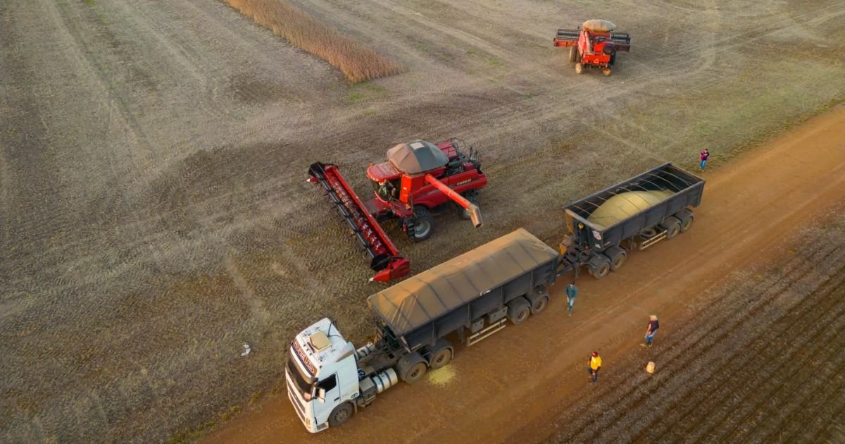 Inadimplência no agro avança em 2025 e acende alerta sobre crédito rural e fluxo de caixa