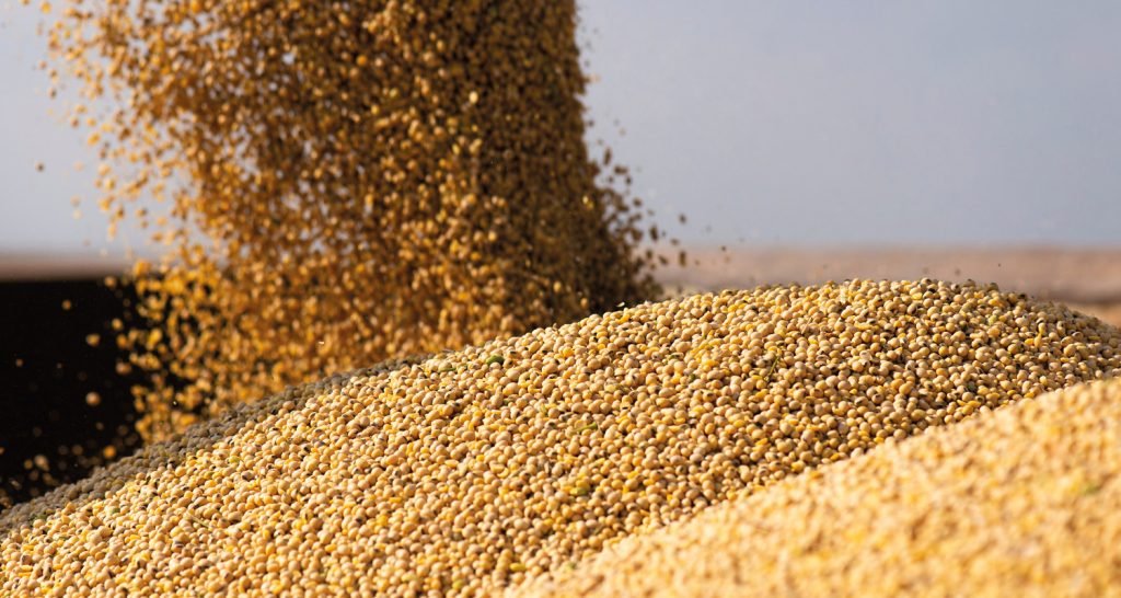 Fundos reduzem aposta na alta da soja na CBOT na semana até 13 de janeiro