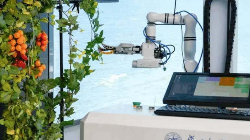 Robô agrícola chinês substitui até 6 trabalhadores em colheitas