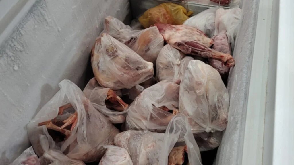 Abatedouro clandestino de aves é fechado no interior de São Paulo