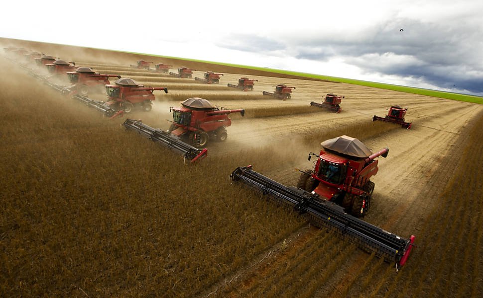 Ranking Matopiba: Os 8 municípios da fronteira agrícola que mais valorizaram nos últimos meses