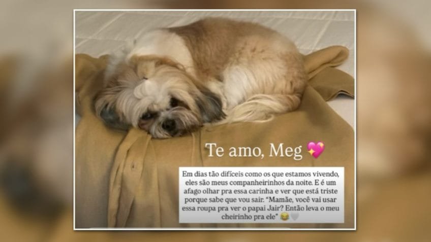 Michelle diz que cachorros fazem companhia após prisão de Bolsonaro