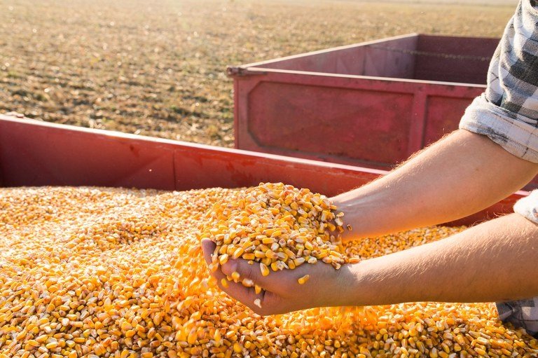 AFBF: prejuízo no campo deve persistir em 2026 nos EUA, mesmo com ajuda federal