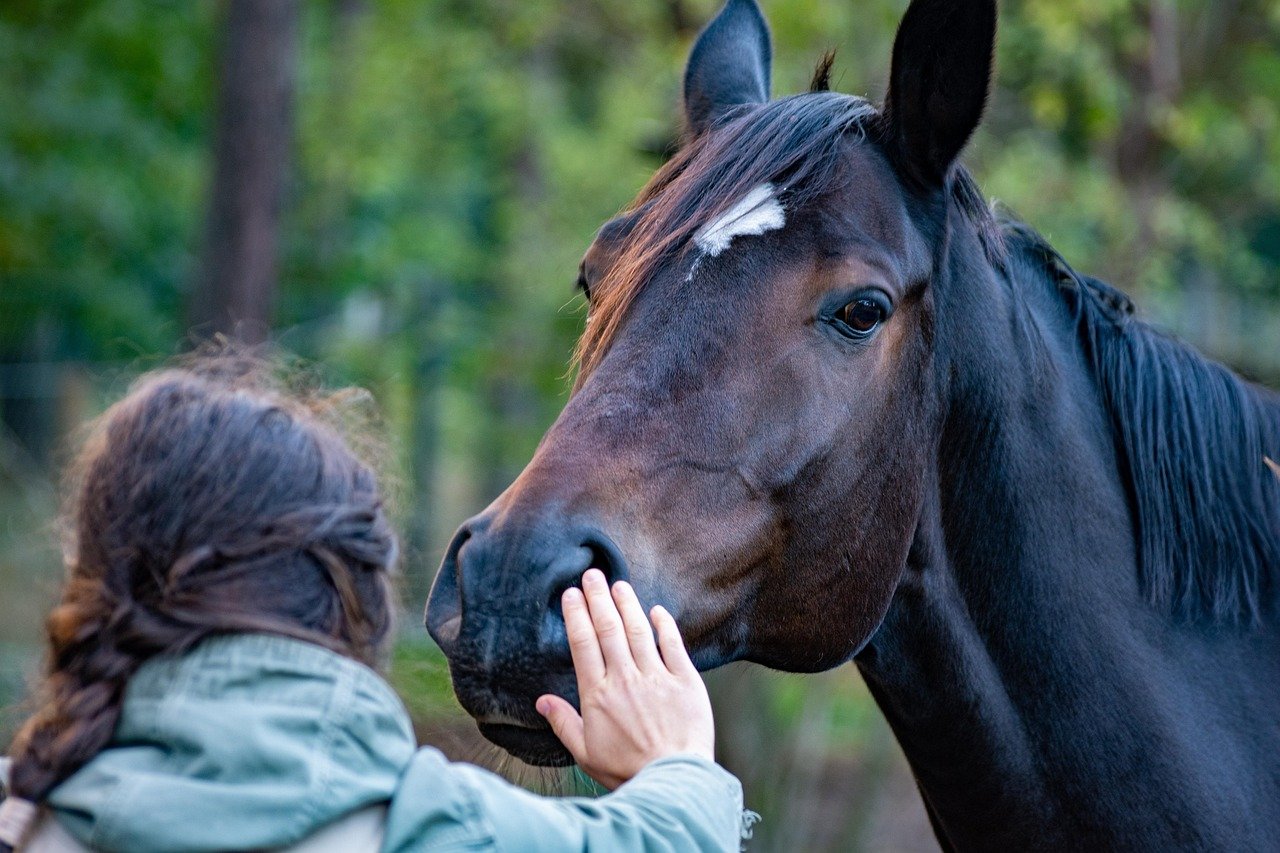 Cavalos sentem seu medo pelo cheiro — e isso pode mudar tudo na hora de montar