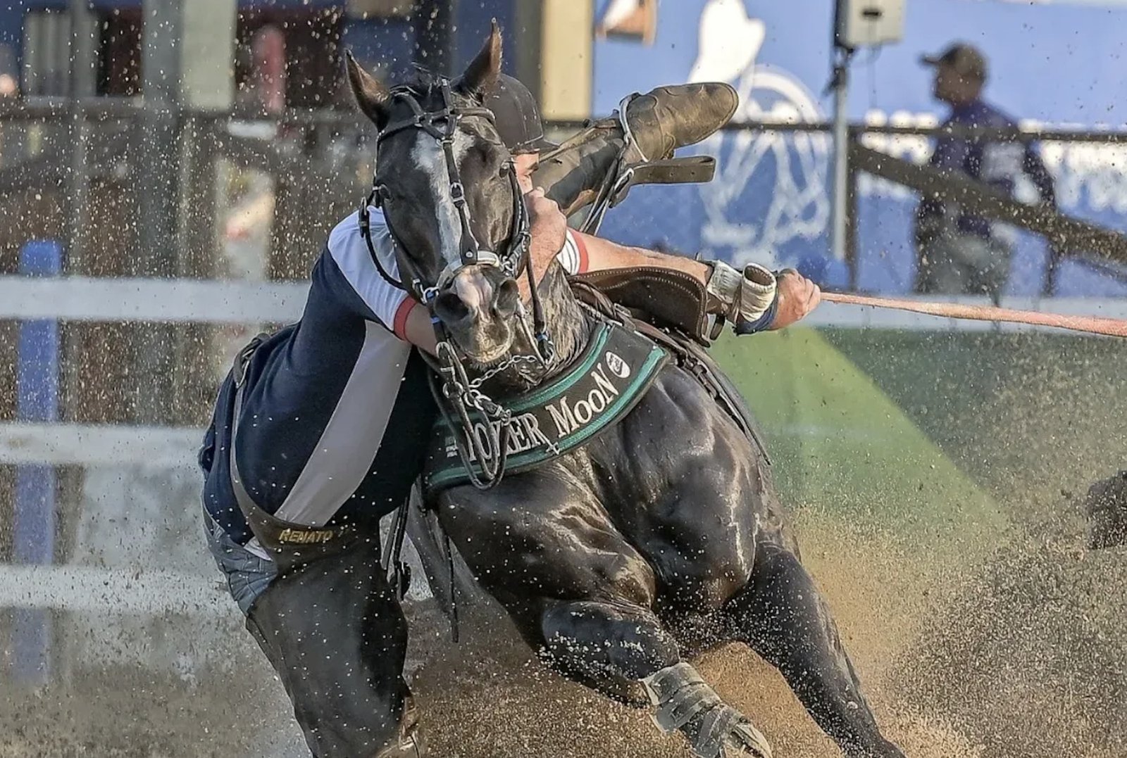 Conheça Poker Moon, cavalo que pode superar o “Rei da Vaquejada”, Holland Jeck; vídeo