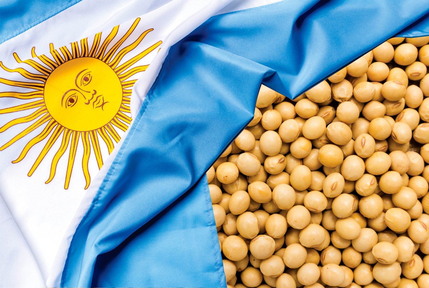 Receita com exportação de grãos na Argentina cai 10,76% em janeiro