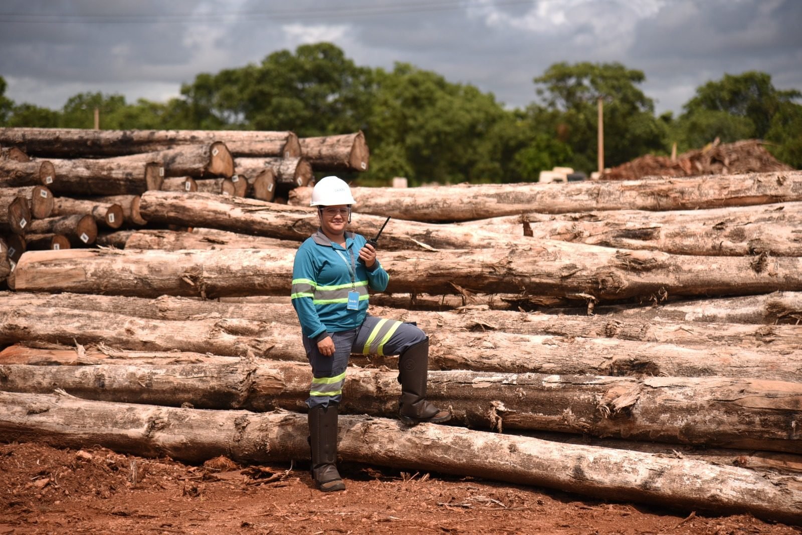 Recorde histórico no tratamento de cargas agrícolas e florestais no terminal de Rondonópolis