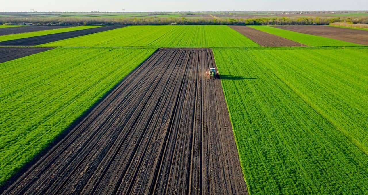 BrasilAgro reverte prejuízo e tem lucro de R$ 2,5 milhões