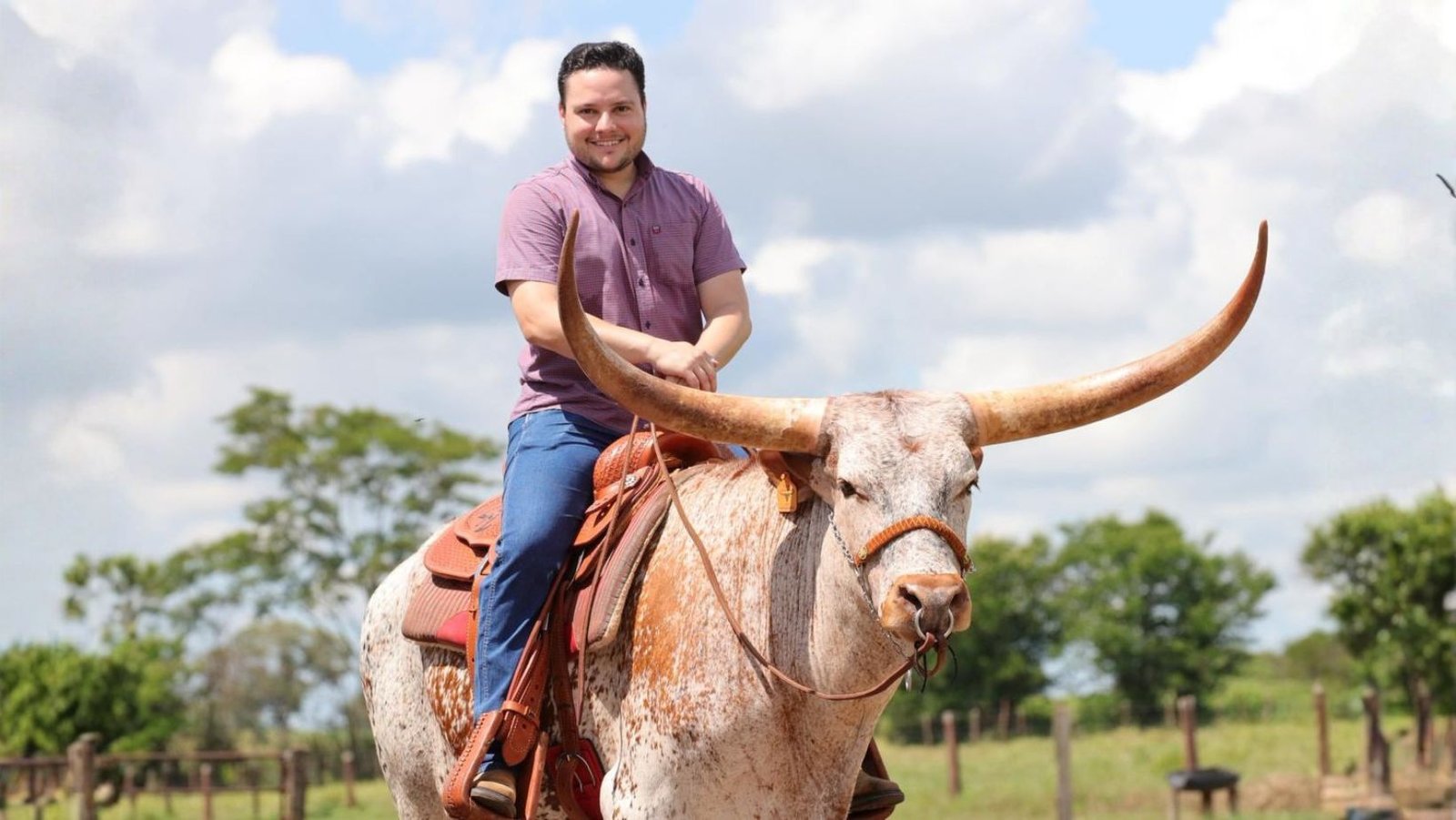 Boi de sela Texas Longhorn é atração do 1º Leilão Virtual Duprat Horse Business