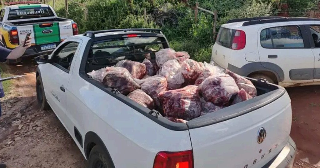 Fiscalização apreende 800 kg de carne clandestina e restos de cavalos em fazenda
