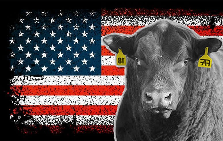 China mantém bloqueio à carne dos EUA e acende alerta global no mercado bovino