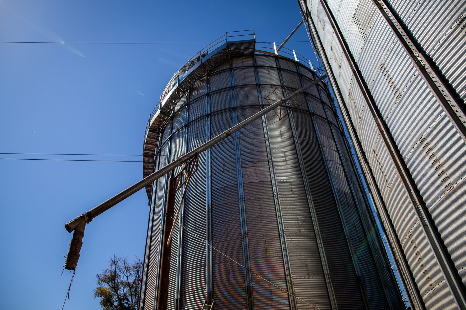 EUA: capacidade de armazenagem de grãos não acompanha aumento da produção