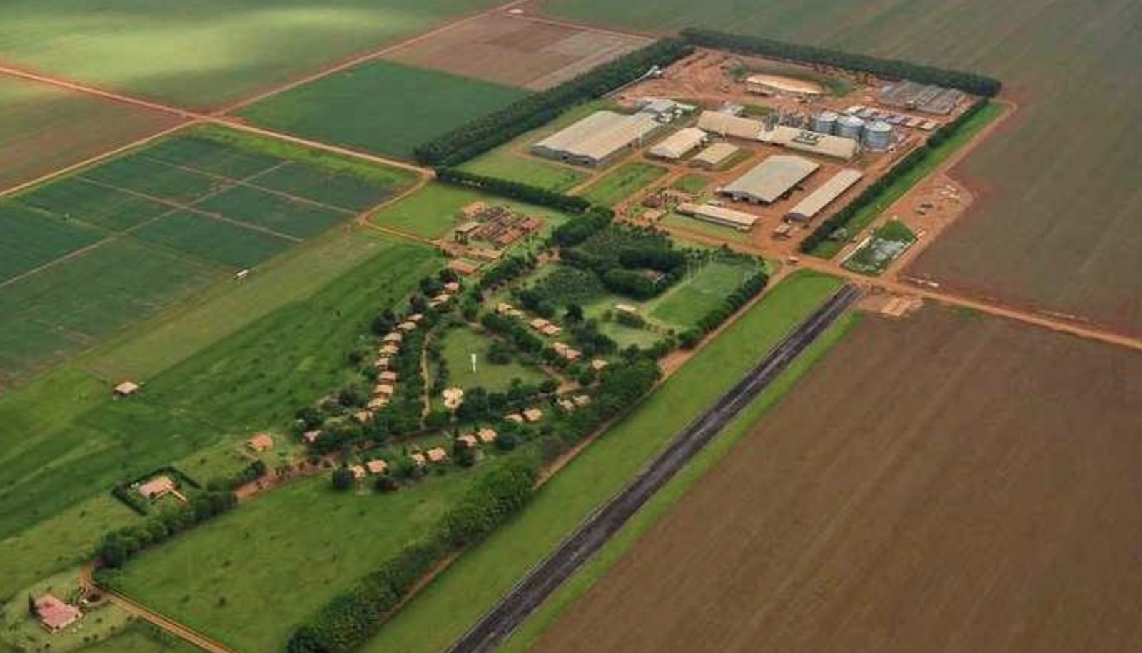 Morre Marcelo Logemann, da família fundadora da SLC, aos 71 anos em Porto Alegre