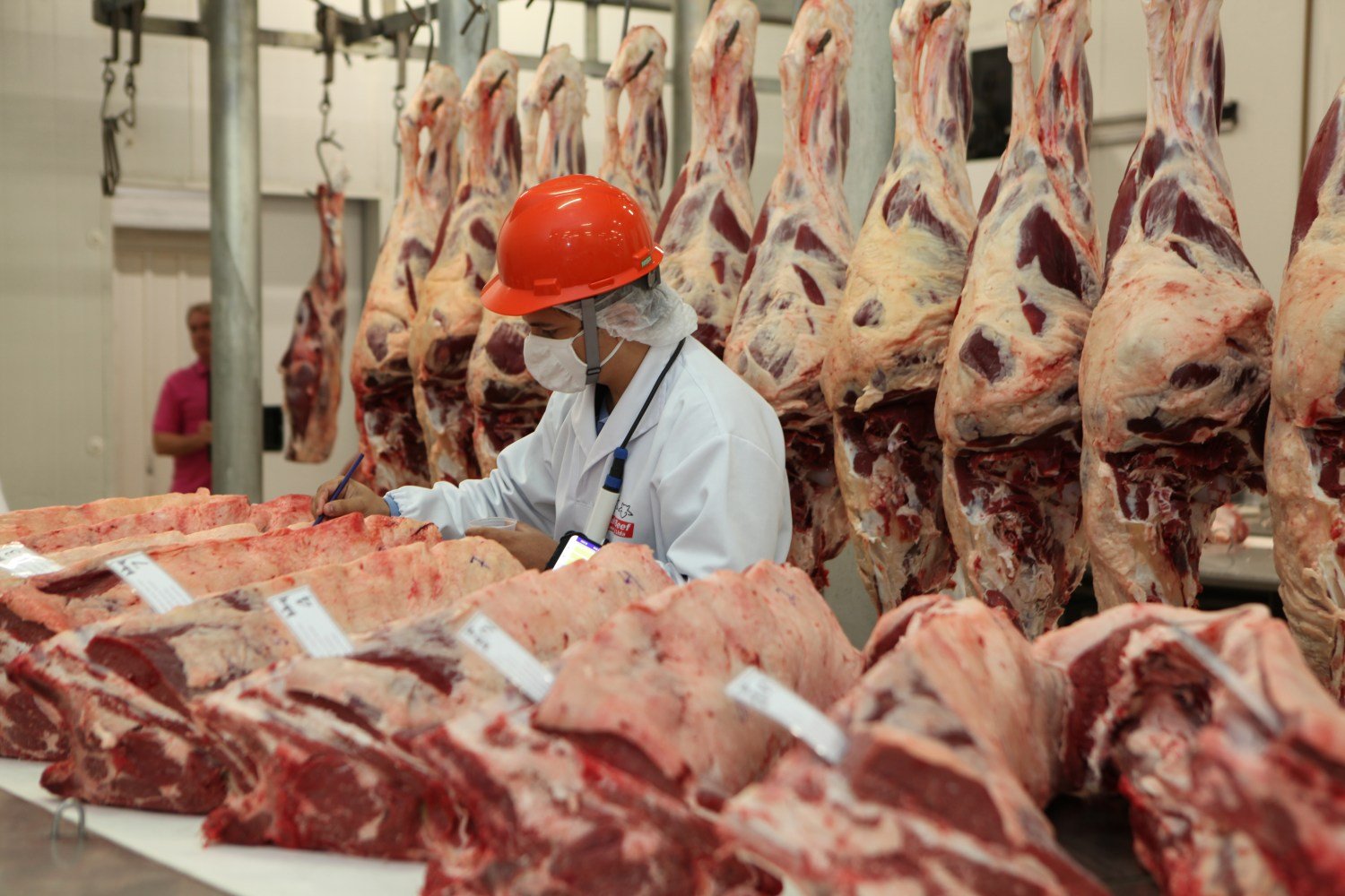 Abate de bovinos, suínos e frangos cresce no 4° trimestre, aponta IBGE