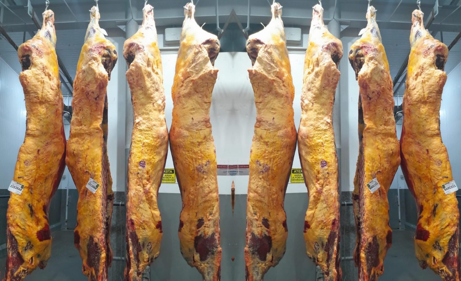 Exportações de carne bovina começam 2026 em alta e embarques totalizaram 278 mil toneladas