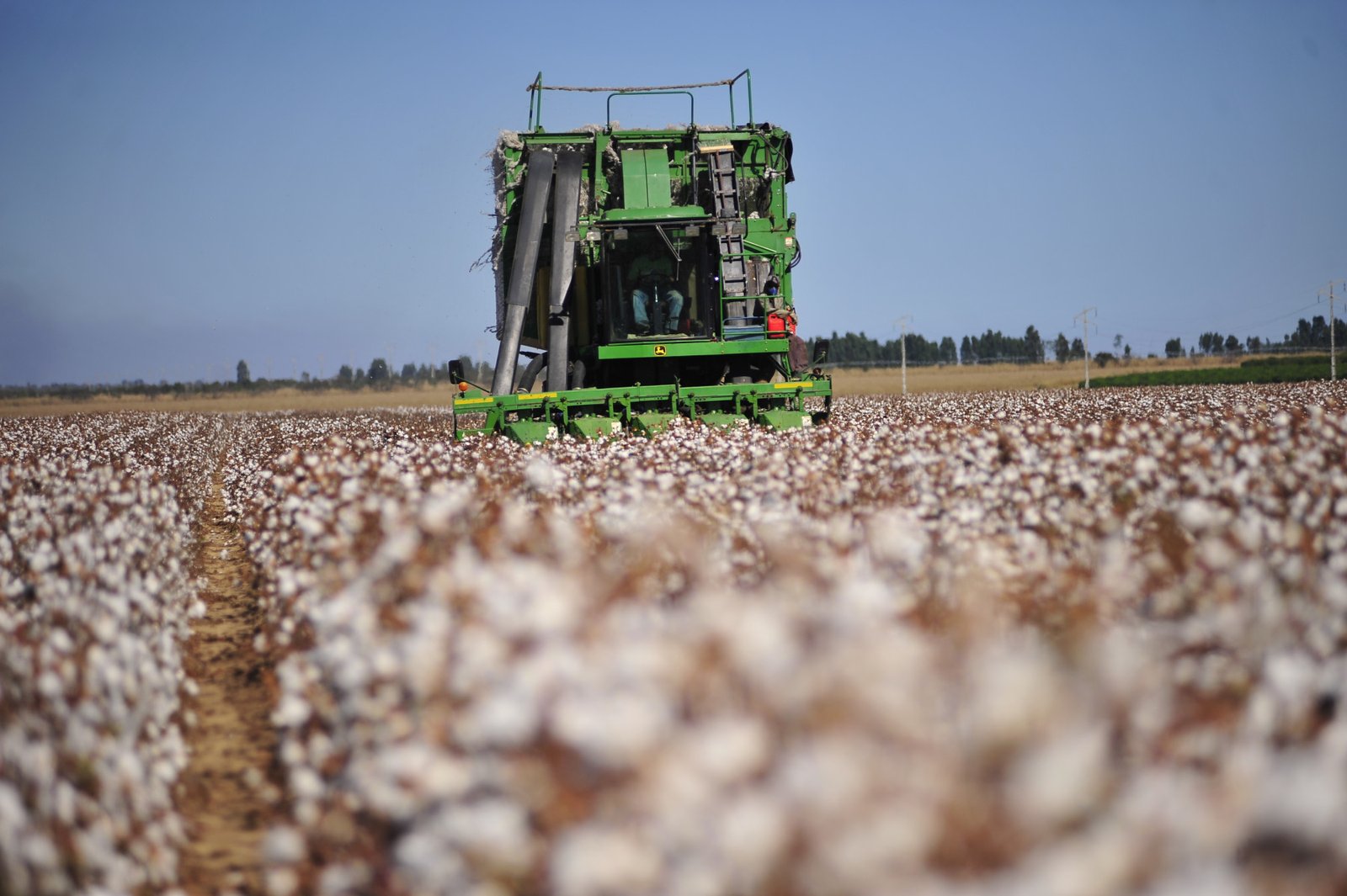 Aiba lidera missão à China para impulsionar o agronegócio da Bahia