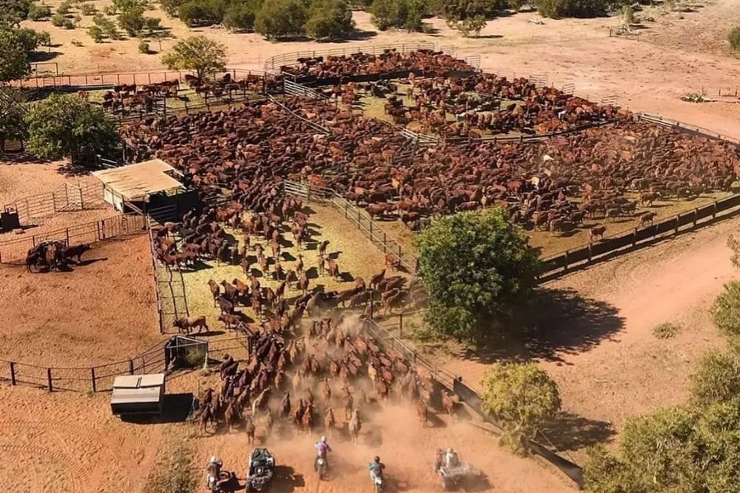 Eficiência operacional: a prova de que não existe “terra ruim” para produção