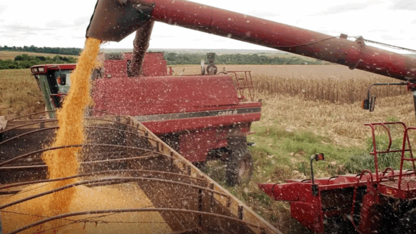 Uso de bioinsumos eleva em 8,33% a produtividade da soja no Paraná