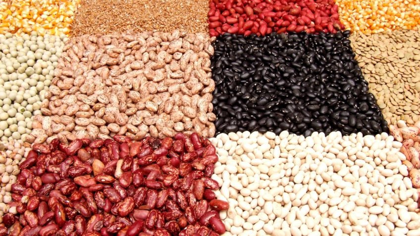 Exportações de pulses do Brasil cresceram 30% em 2025