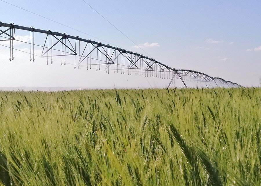 Estudos da Farsul embasam pedido de prorrogação de dívida com União