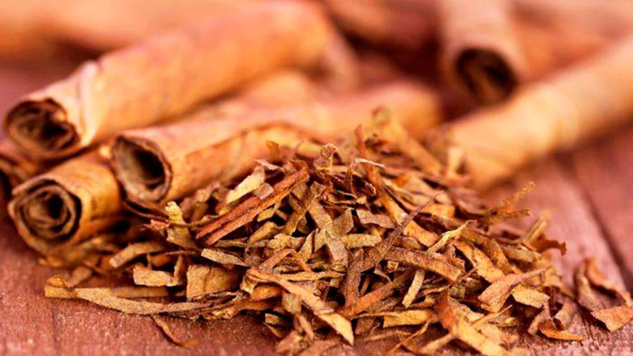 Indústria do tabaco deve contratar 9,1 mil safreiros em Santa Cruz do Sul