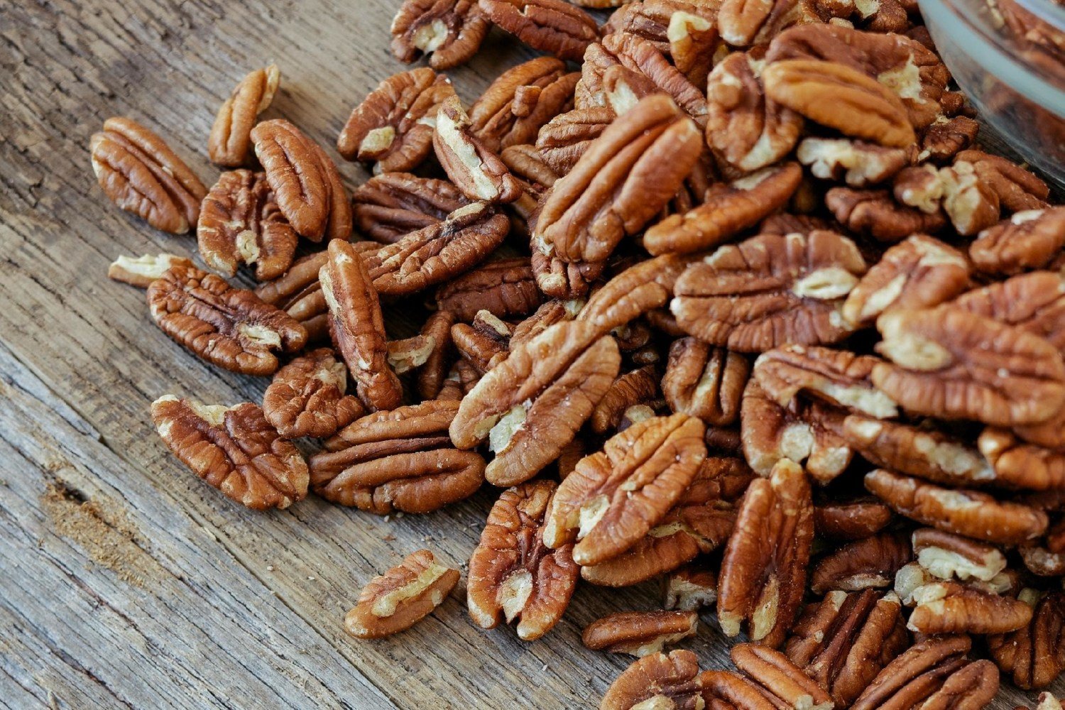 Brasil projeta safra recorde de 7 mil toneladas de noz-pecã para 2026