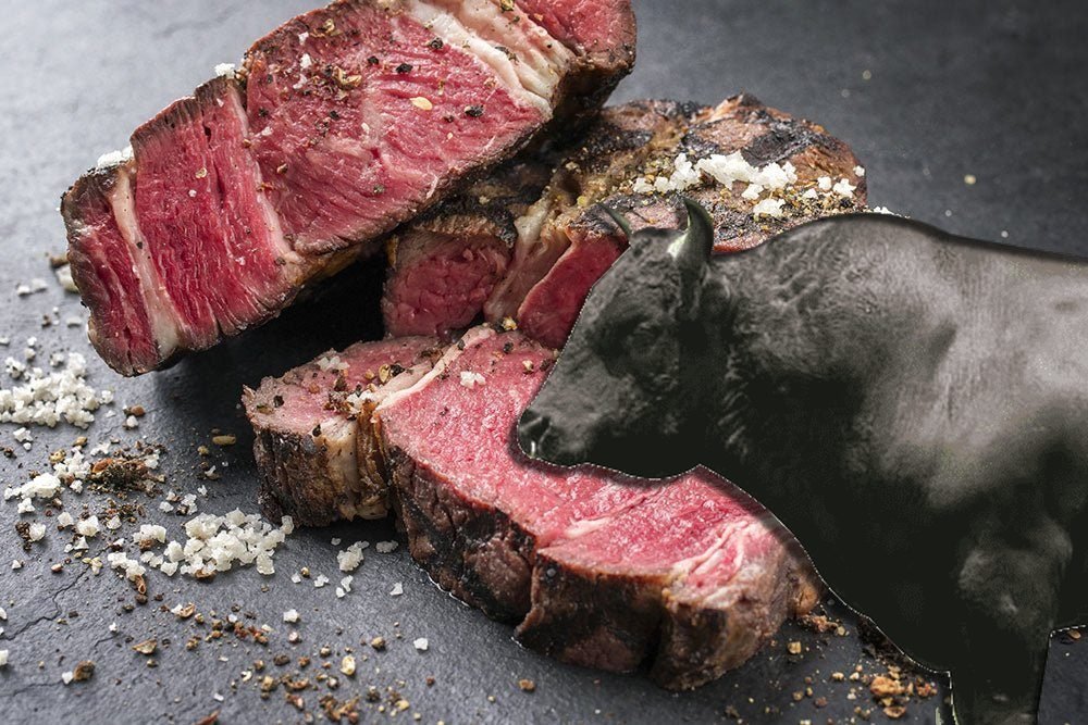 Rebanho das raças Wagyu avançam no Brasil e revela nova era da pecuária de carnes premium