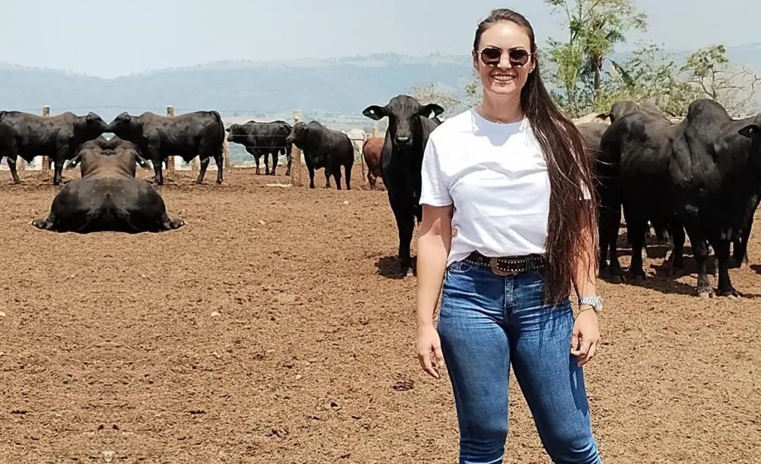 Farmácia veterinária no confinamento: estrutura, cuidados e medicamentos indispensáveis