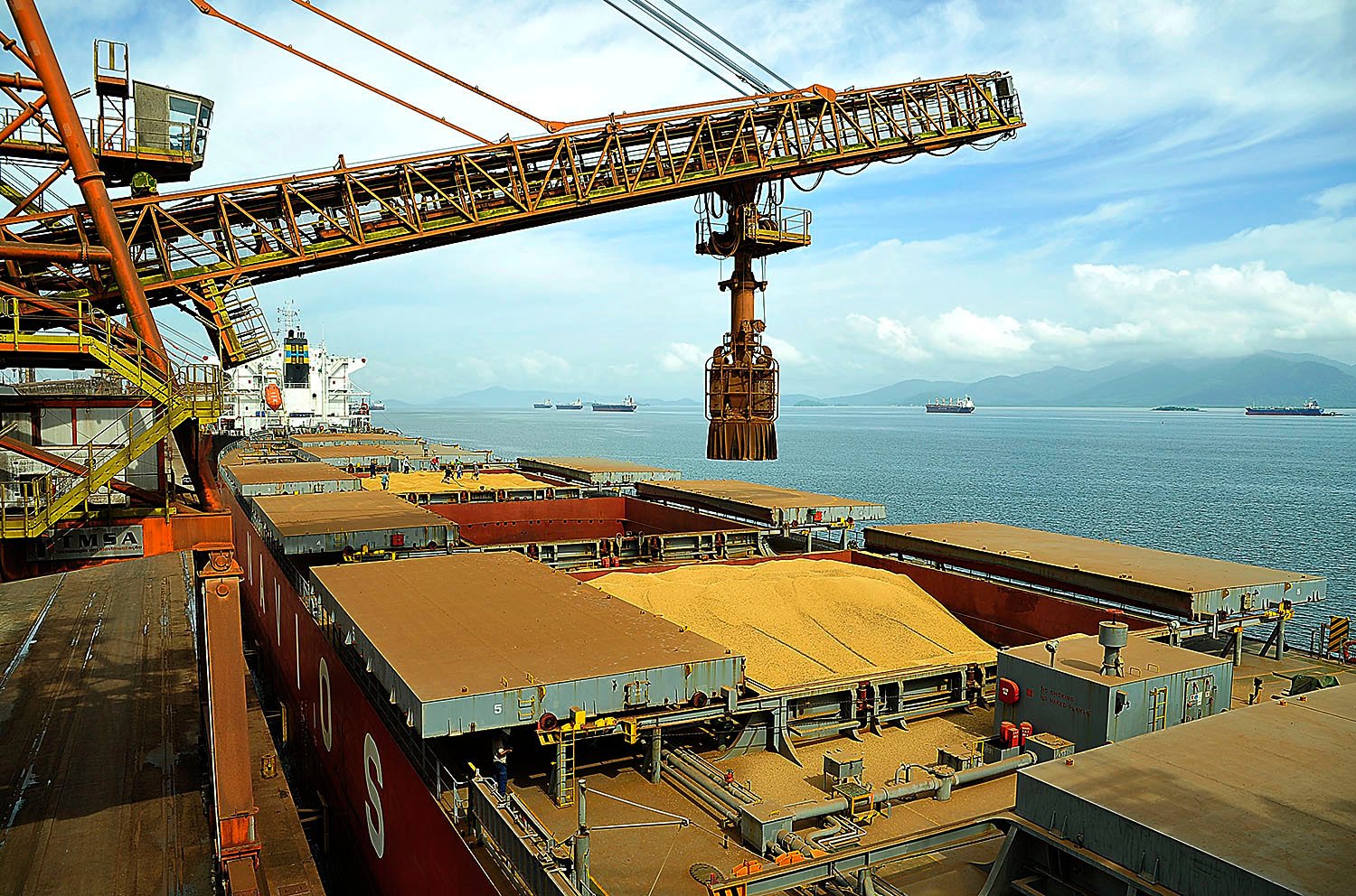 Exportação de soja do Brasil em fevereiro mantém ritmo abaixo do ano passado, diz Secex