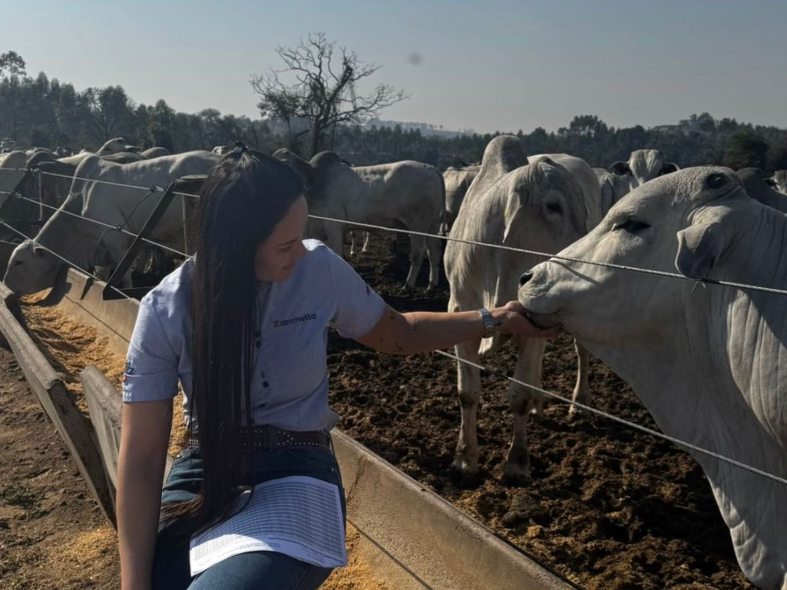 Alimentos palatáveis no confinamento bovino: o que são, quais utilizar e por que são importantes