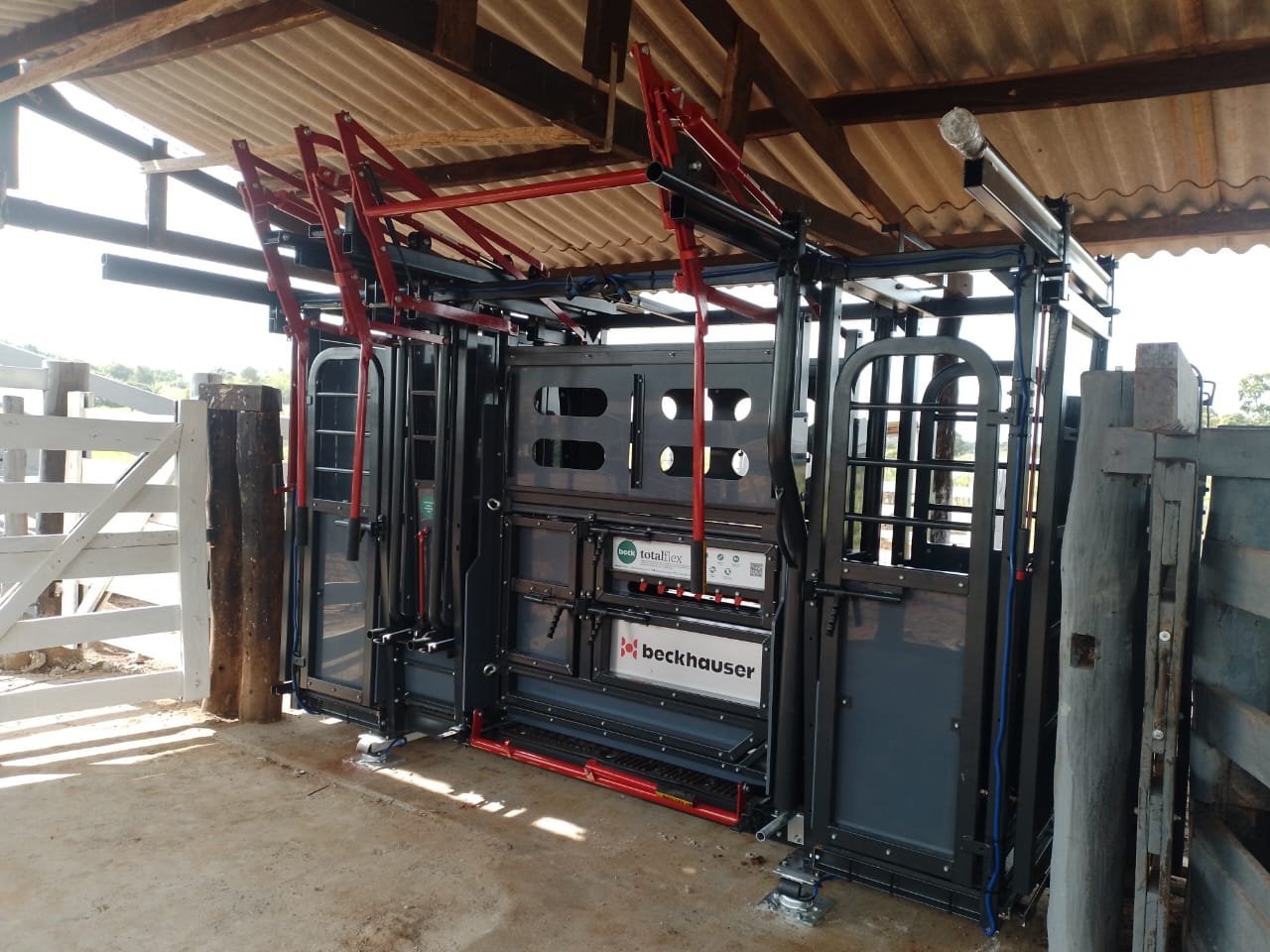 Manutenção de equipamentos de contenção garante segurança e bem-estar no manejo de bovinos