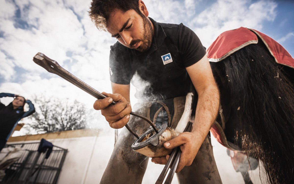 Ferraduras ou protetores alternativos: qual a melhor escolha para os cavalos?