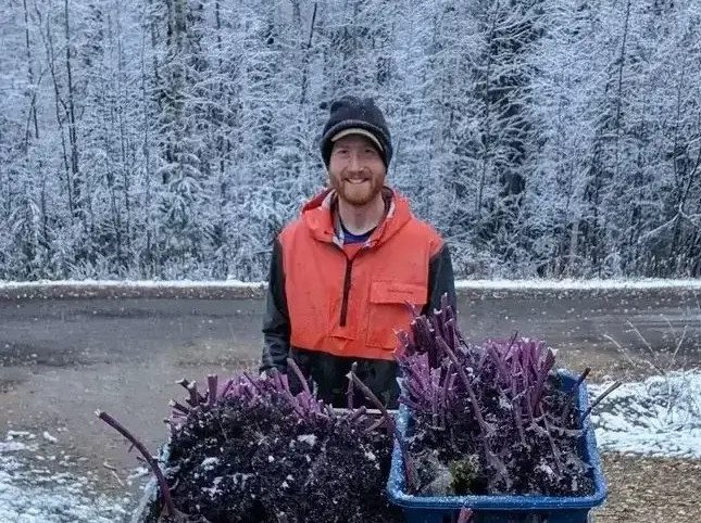 Conheça o agricultor que desafiou o frio de -40°C para revolucionar o armazenamento de alimentos