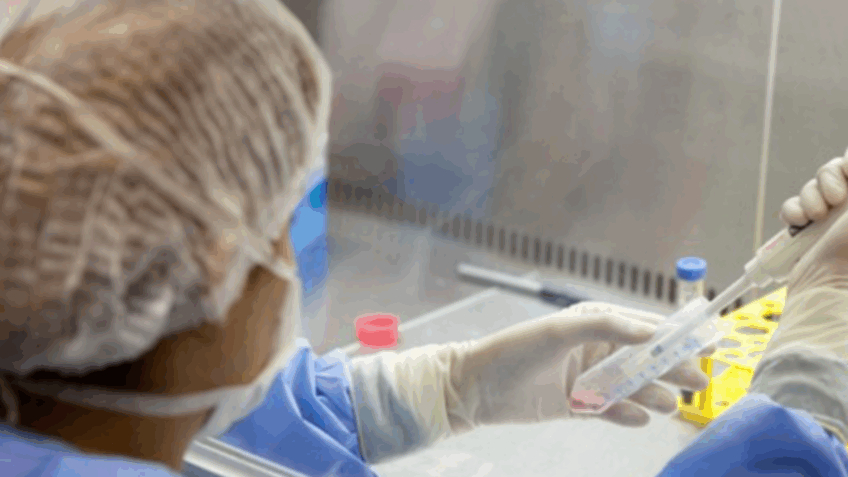 Pesquisadores pedem cautela em debates sobre polilaminina