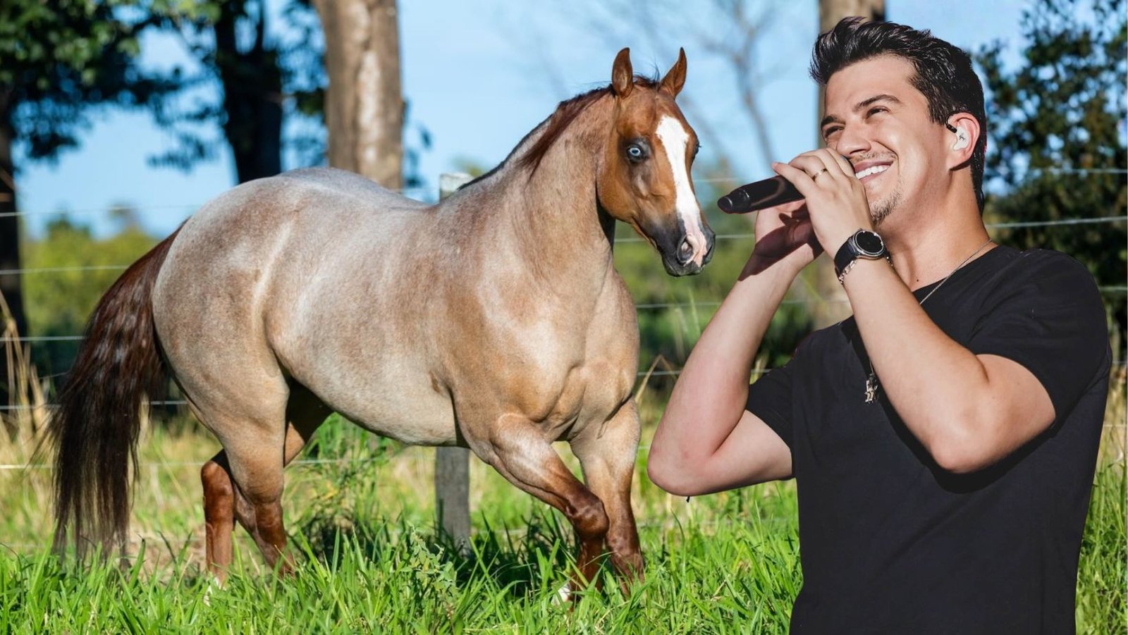 Hugo, da dupla Hugo & Guilherme realiza o 1º leilão da sua criação Quarto de Milha
