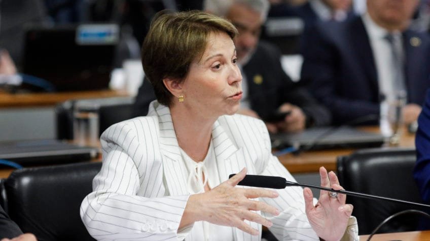 Flávio Bolsonaro vem ganhando musculatura, diz Tereza Cristina