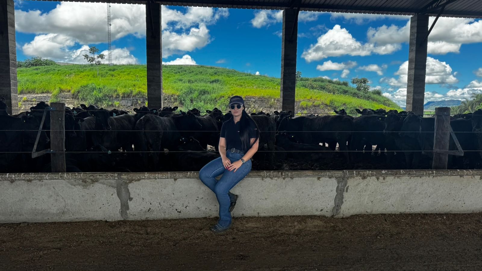 Por que bovinos confinados tendem a reduzir o consumo em altas temperaturas?