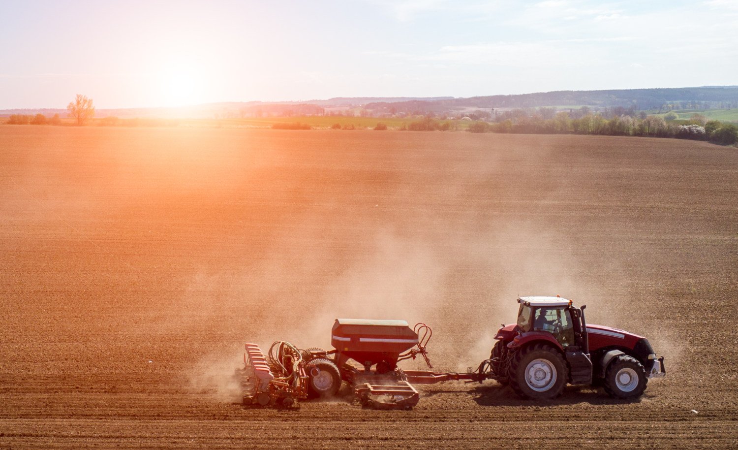 Plantio de soja: Erro na escolha dos discos pode custar caro na produtividade