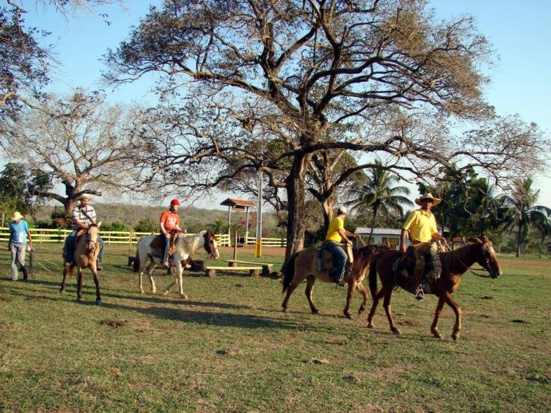 Turismo rural: uma alternativa de ouro para o mercado de terras no Brasil 