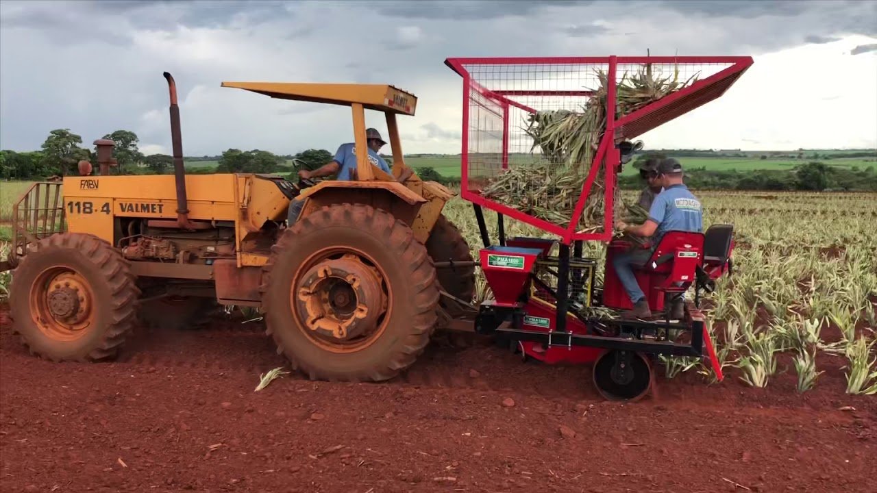 Produtor transforma sucata em máquinas agrícolas, revoluciona o plantio de abacaxi e conquista a Ásia