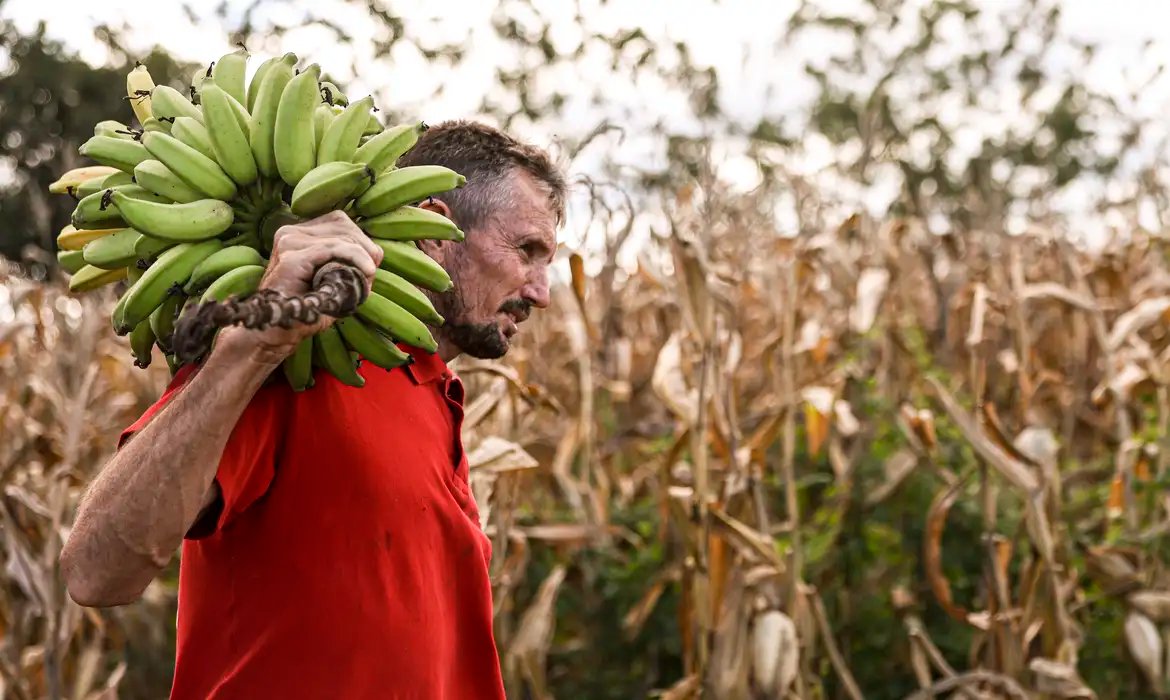 Câmara aprova uso de recursos do FGO em operações do Pronaf