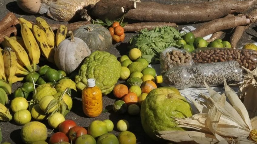 Prévia da inflação sobe 0,84% em fevereiro