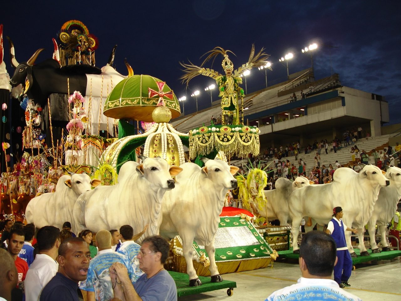 Nelore, o boi que samba