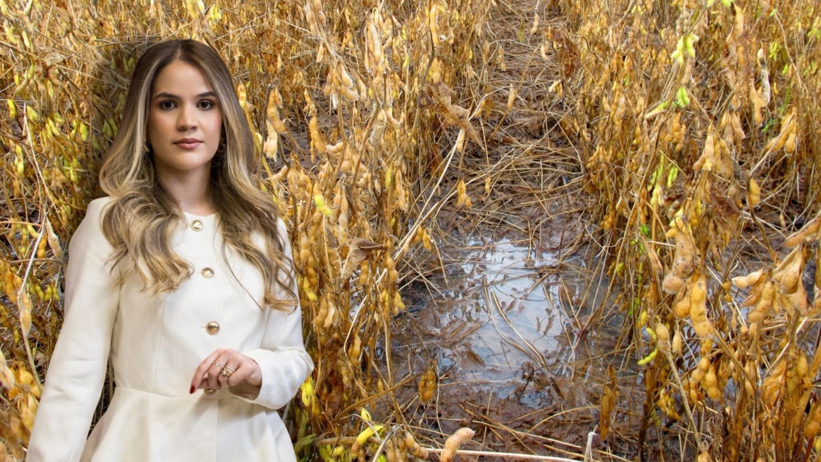 Chuvas em Mato Grosso: quando a crise do crédito encontra o pior momento da safra