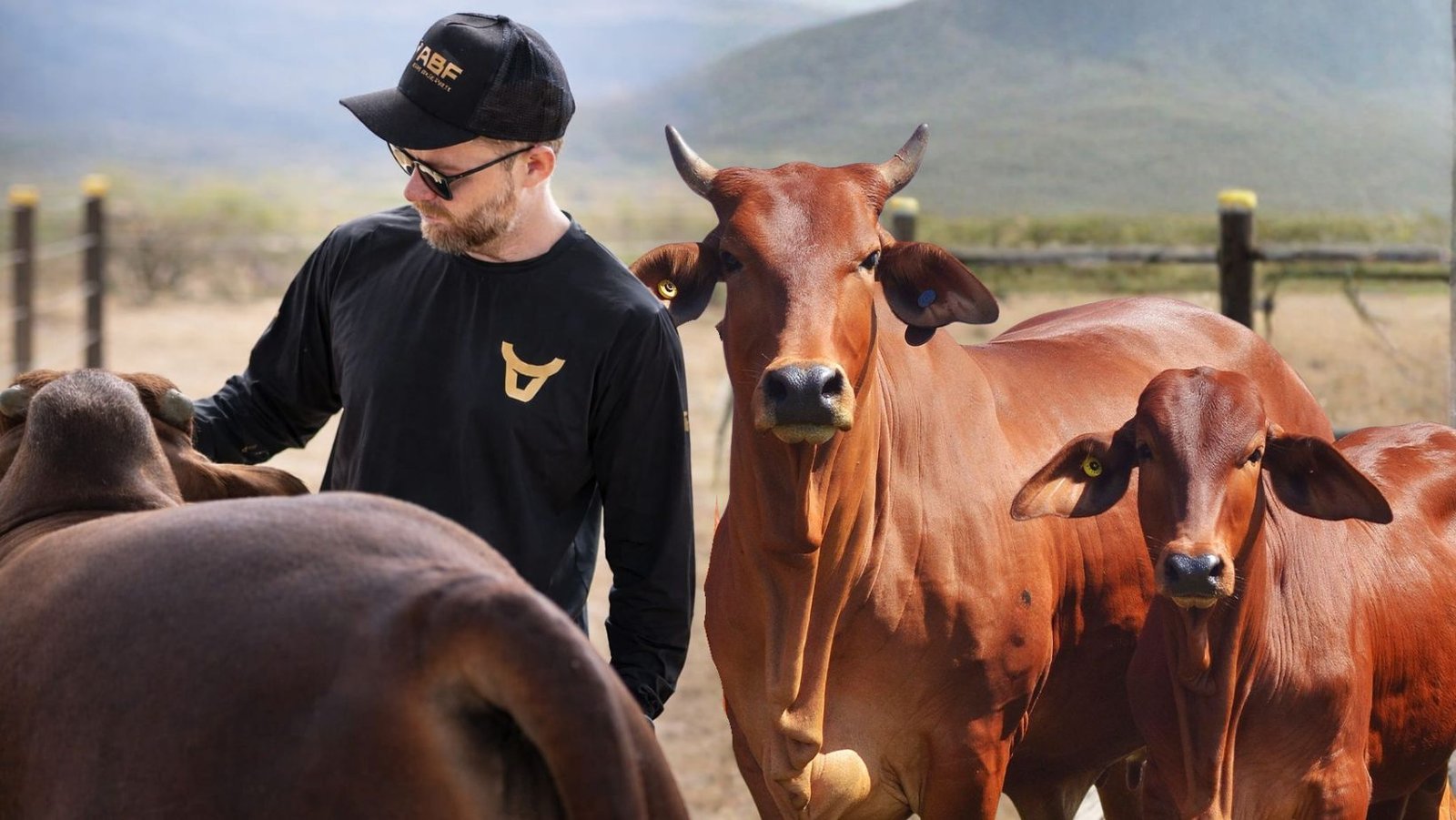 “Canela de boi não paga a conta”, criador destaca força do Sindi no Nordeste