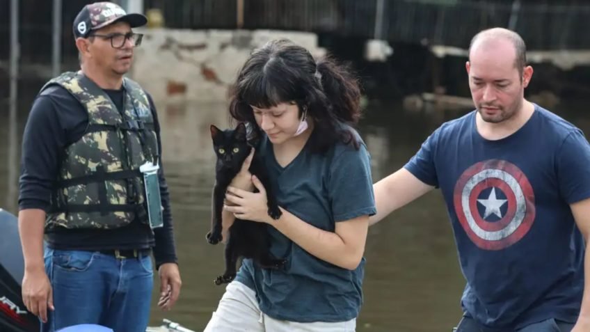 Senado aprova política de proteção a animais resgatados em desastres