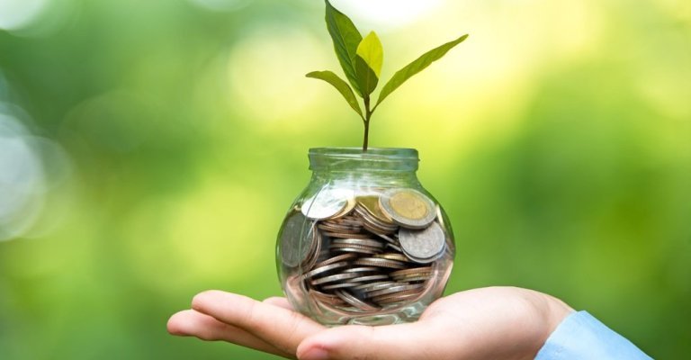 Ouro Invisível: Como lucrar com “ar” sem deixar de produzir arrobas