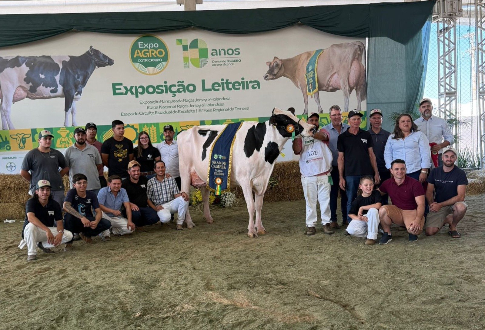 Criatório de Anta Gorda conquista campeonato da raça Holandesa na Expoagro Cotricampo