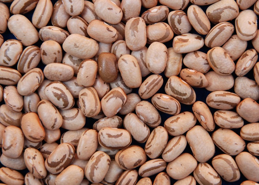 Feijão carioca registra valorização recorde em fevereiro